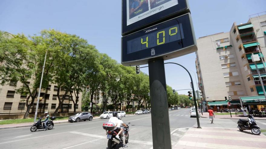 La media de las máximas fue de 33,7 ºC.