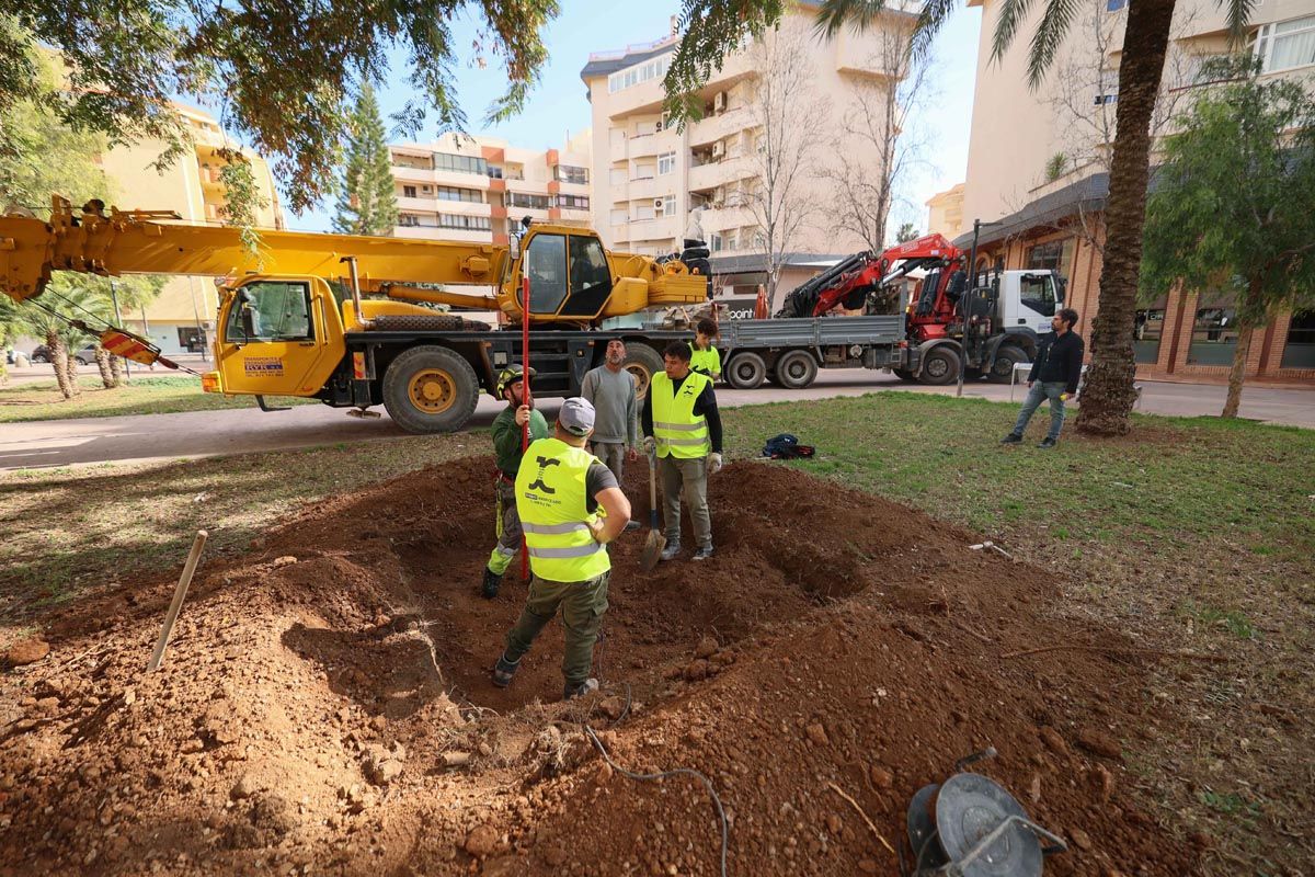 Galería: Todas las imagenes del traslado de la pagesa de Ibzia a su nueva ubicación