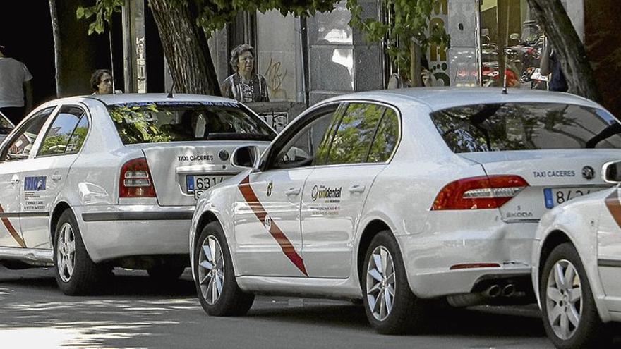 El consistorio cacereño desestima la revisión de la tarifa del taxi con la aplicación del IPC del sector