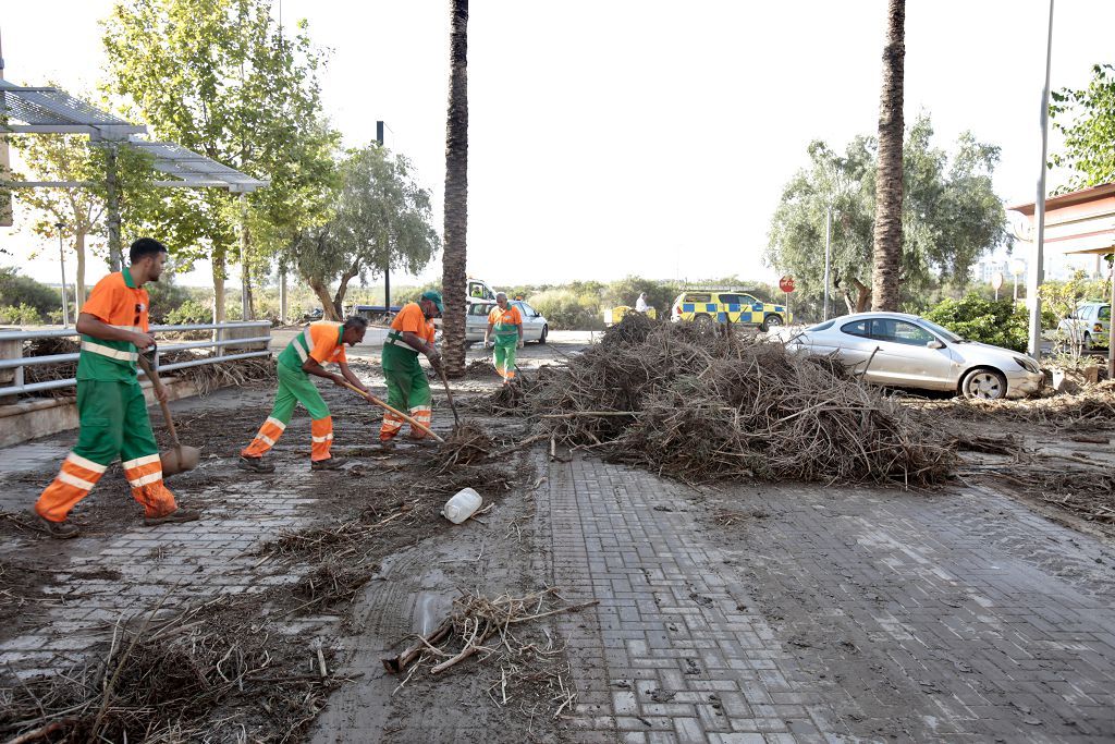 Estas son las imágenes que deja la DANA a su paso por Águilas