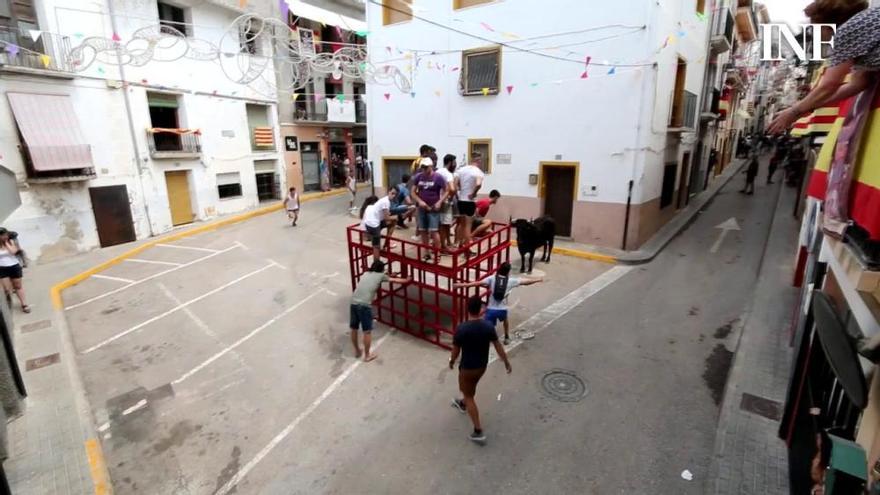 Entrà de les Vaques en las fiestas de Tibi