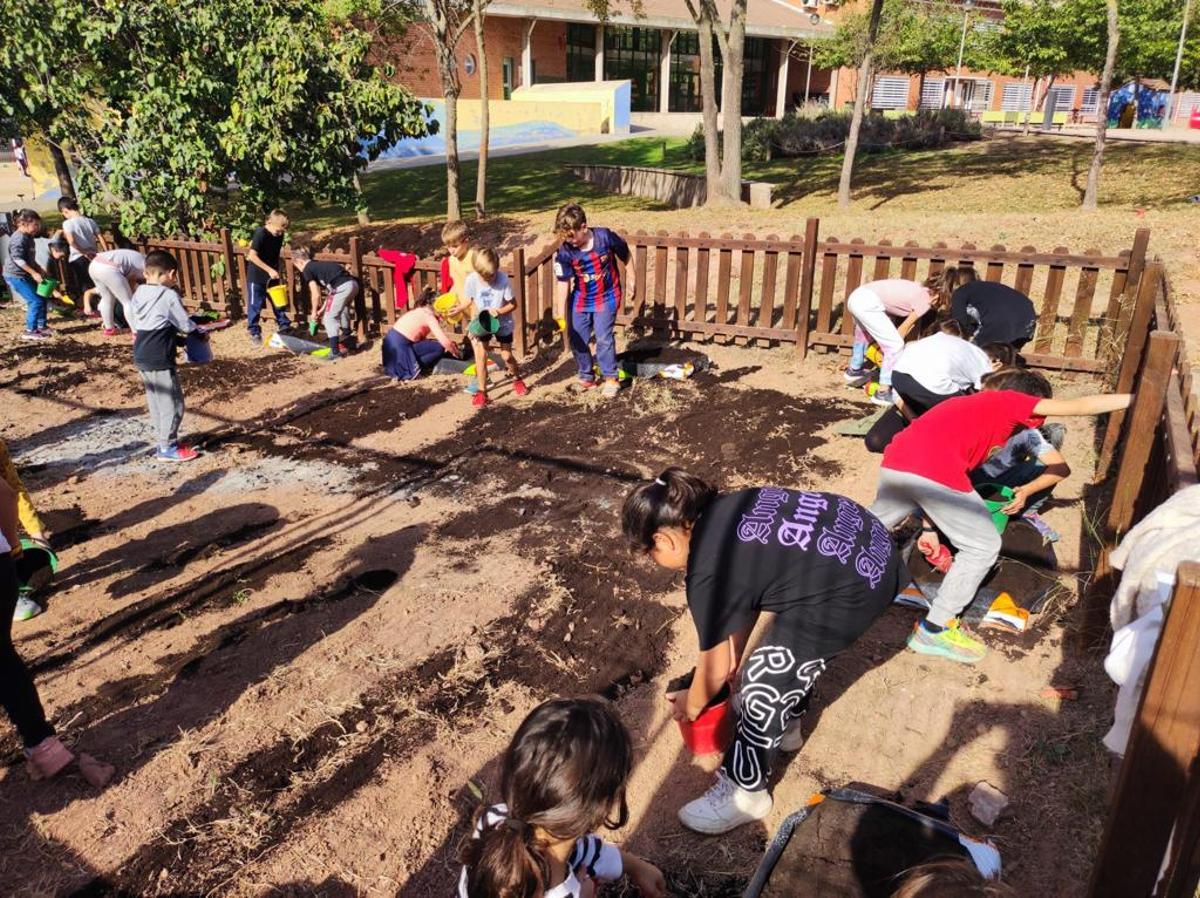 L'escola Monsenyor Gibert de Sant Fruitós va ser la primera que hi va començar a treballar amb un hort
