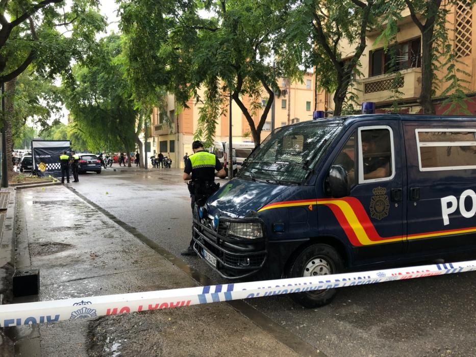 Atropello mortal en una persecución en las 'casitas rosa' de València