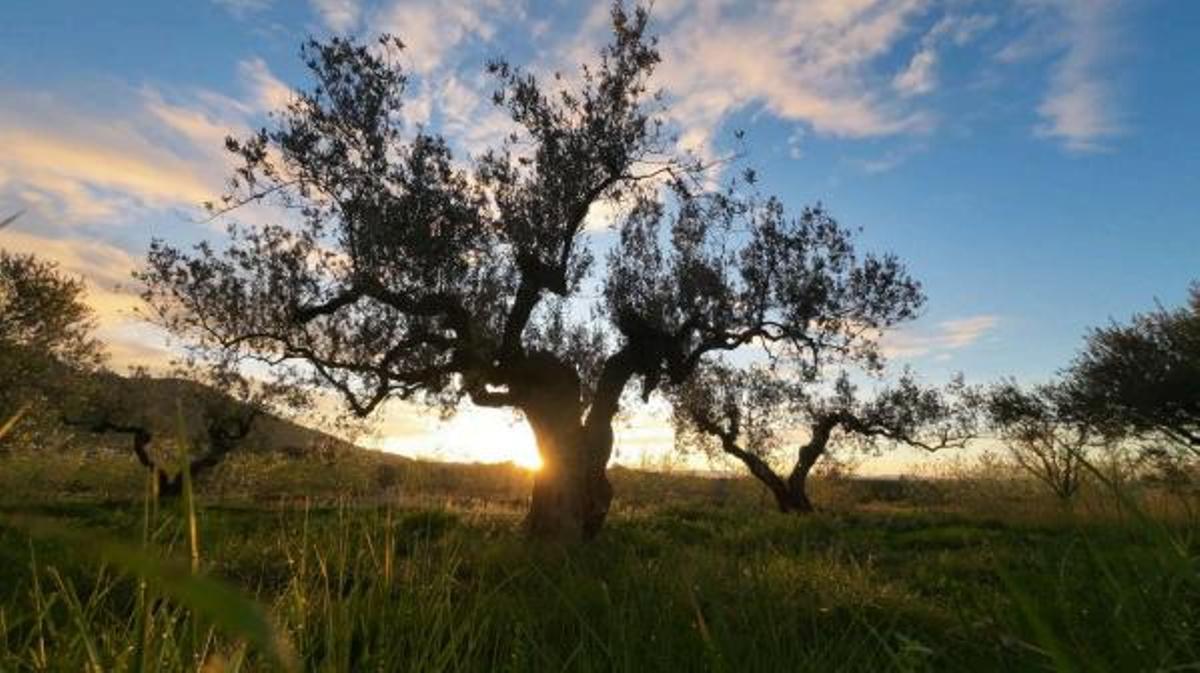 Una de las imágenes del documental