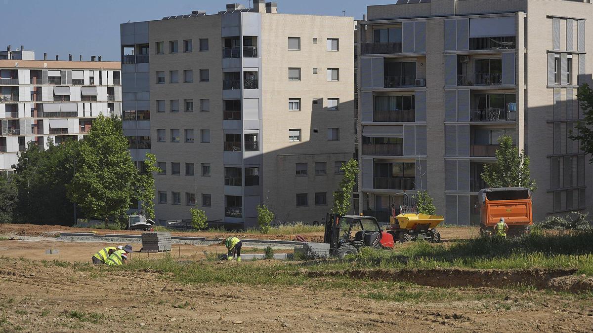 Diferents operaris i maquinària acutant en la zona, fa unes setmanes.