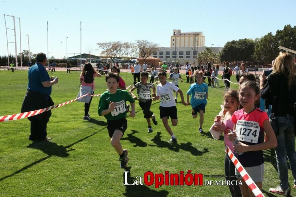 Final Cross Escolar de Lorca . Alevín masculino