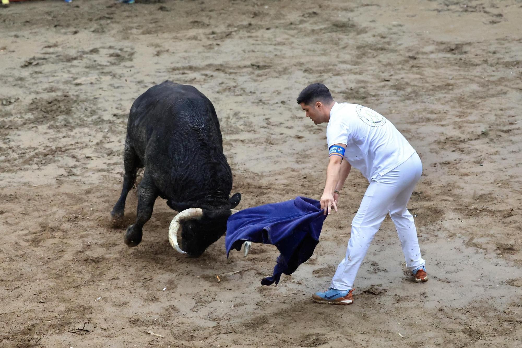 Galería de fotos de la penúltima tarde de toros de las fiestas del Roser en Almassora