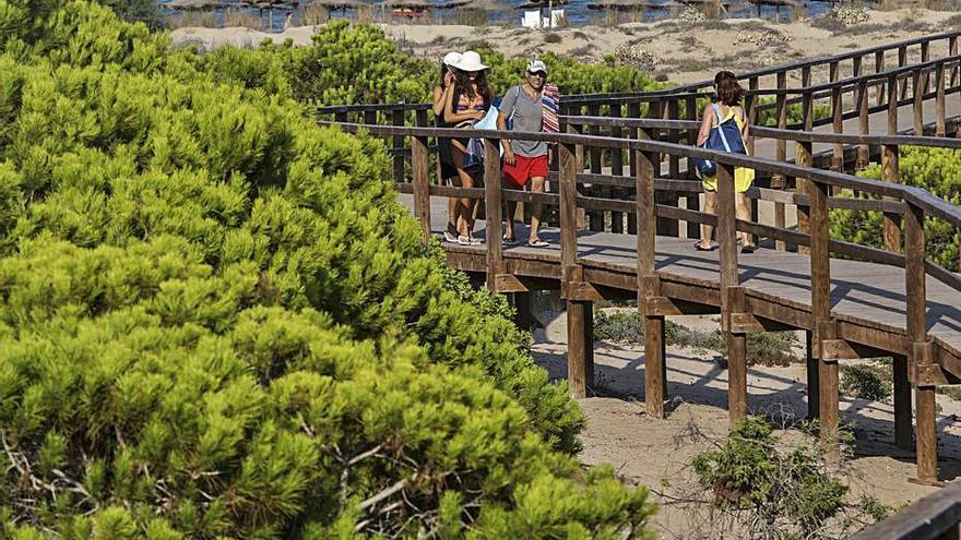 Arenales es una de las pedanías más atractivas de Elche. | ANTONIO AMORÓS