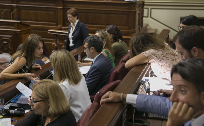 Pleno en el Parlamento de Canarias (21/06/2017)