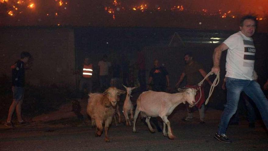 Las llamas llegaron a cercar viviendas en Armenteira el pasado 15 de octubre. // Noé Parga