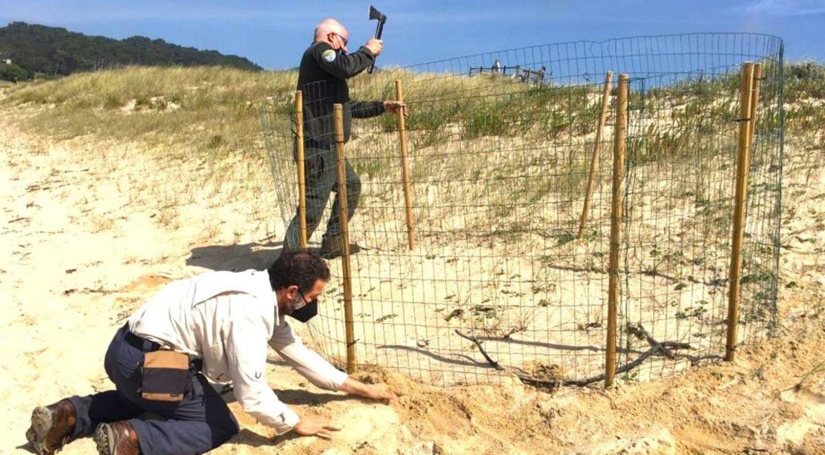 Miembros de la Xunta y SEO instalando un jaulón. | // E. GONZÁLEZ / PIO