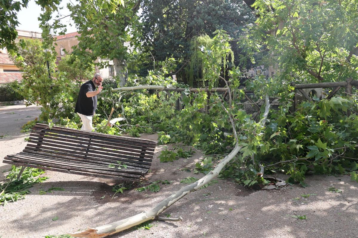 Imágenes del día después en Alcoy tras el temporal