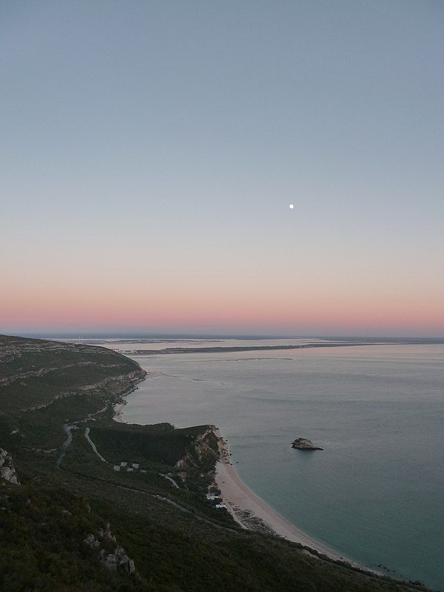 Los animales salen cuando el sol se va.