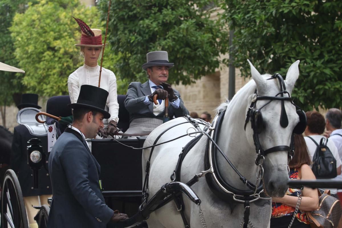 Concurso de atalaje de tradición en Cabalcor