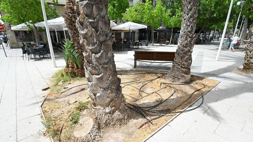 Parterres sin vegetación y tubos  a la intemperie en "El parquet" de Elche