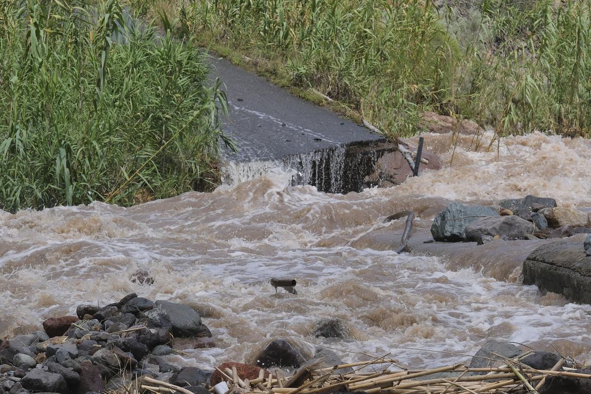 Las imágenes de la borrasca Therese a su paso por Gran Canaria (24/03/26)