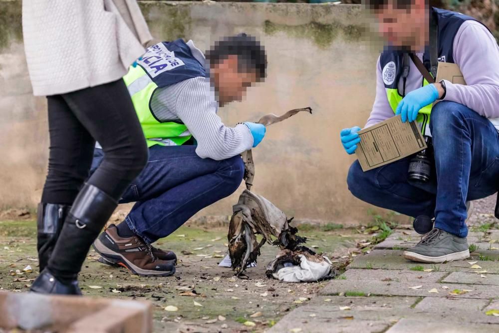 Un hombre pega fuego a una mujer en un parque infantil de Palma