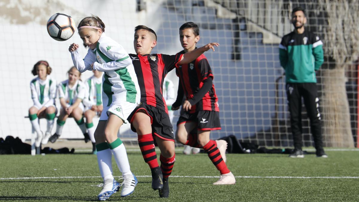 Un encuentro de alevines entre el Córdoba CF y el Séneca, la pasada temporada.