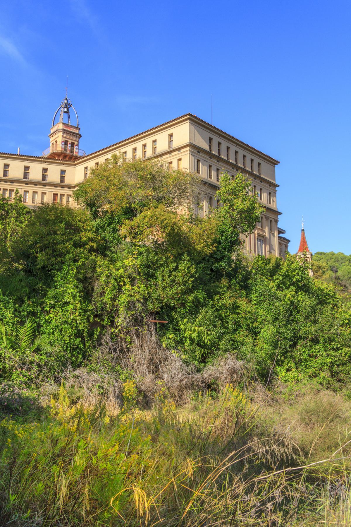 Casa en la colina, en Alella.