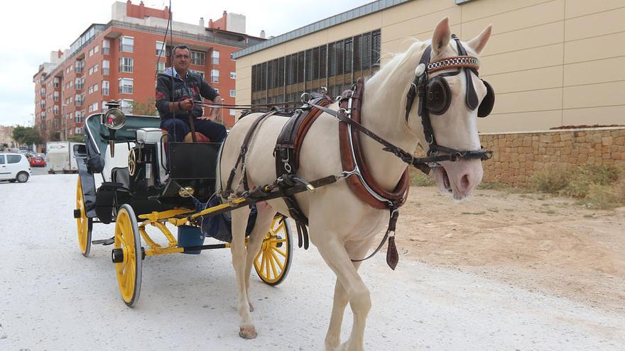 Un coche de caballos entra el miércoles a las caballerizas de Teatinos, en la calle Mesonero Romanos.
