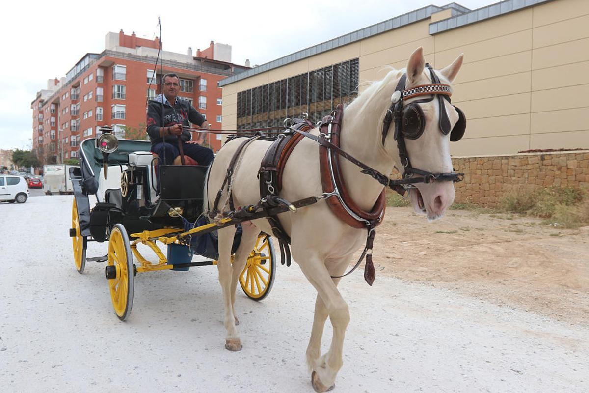 Un coche de caballos entra el miércoles a las caballerizas de Teatinos, en la calle Mesonero Romanos.