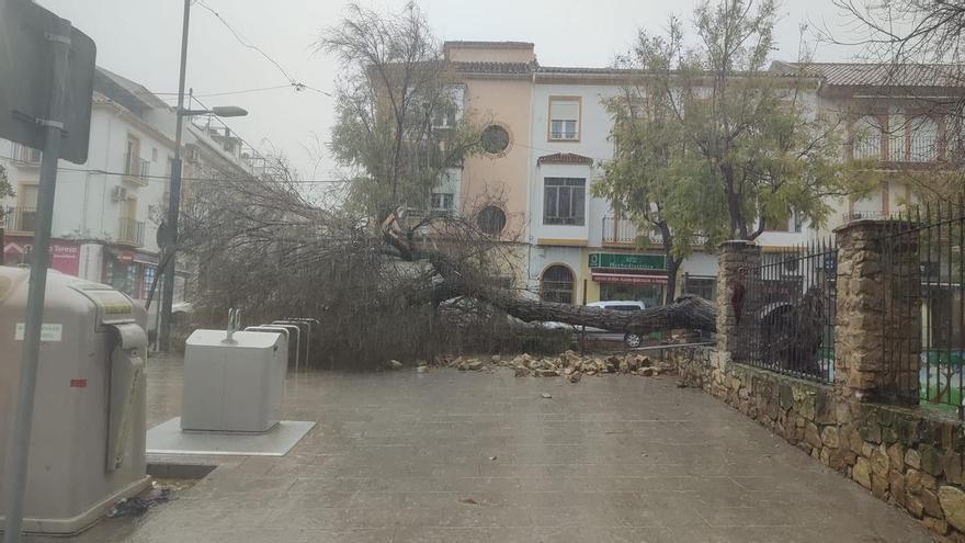 Baena, Montilla, Lucena... La borrasca Joseph deja más de 40 incidencias en la provincia de Córdoba