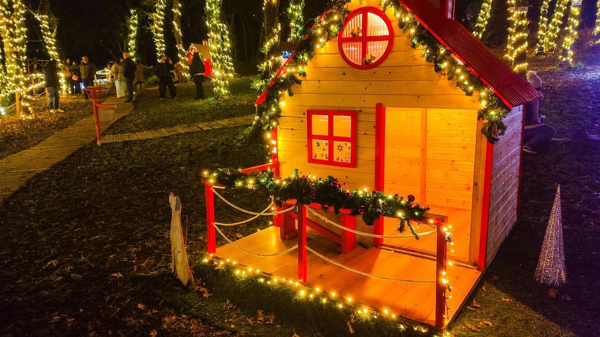 Lo último para despedir la Navidad en Galicia: un bosque mágico a menos de una hora de Santiago