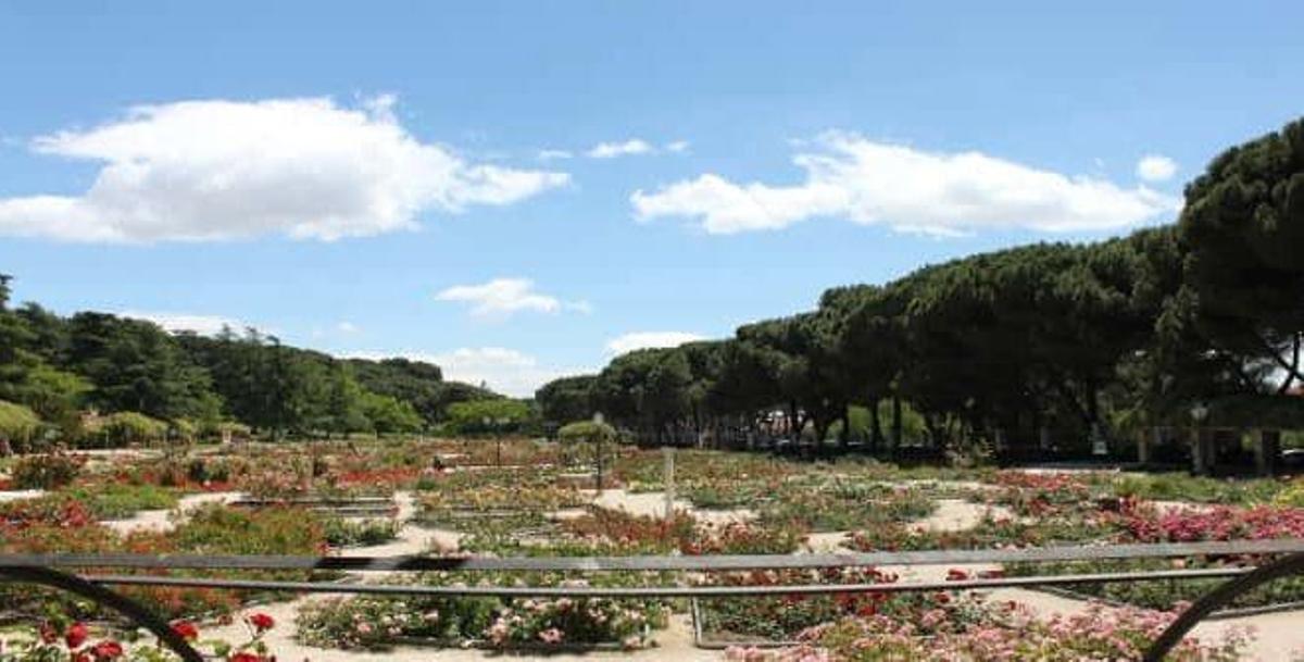 Rosaleda del Parque del Oeste