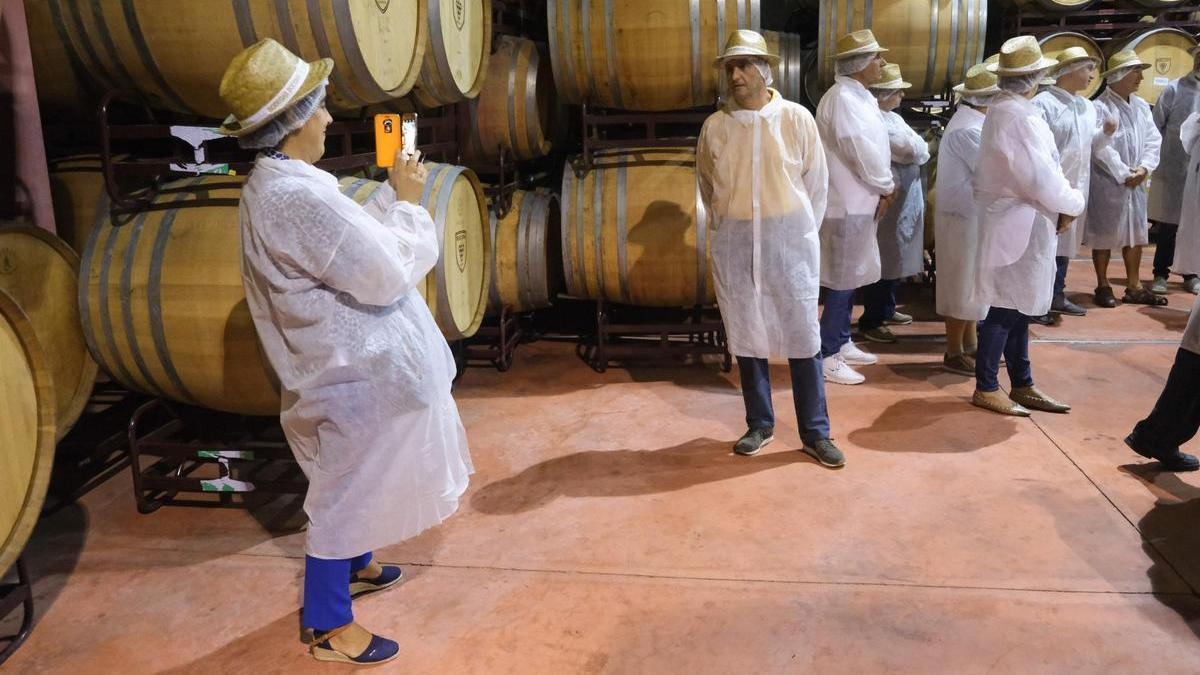 Visita guiada a las bodegas de Bocopa de la Ruta del Vino de Alicante