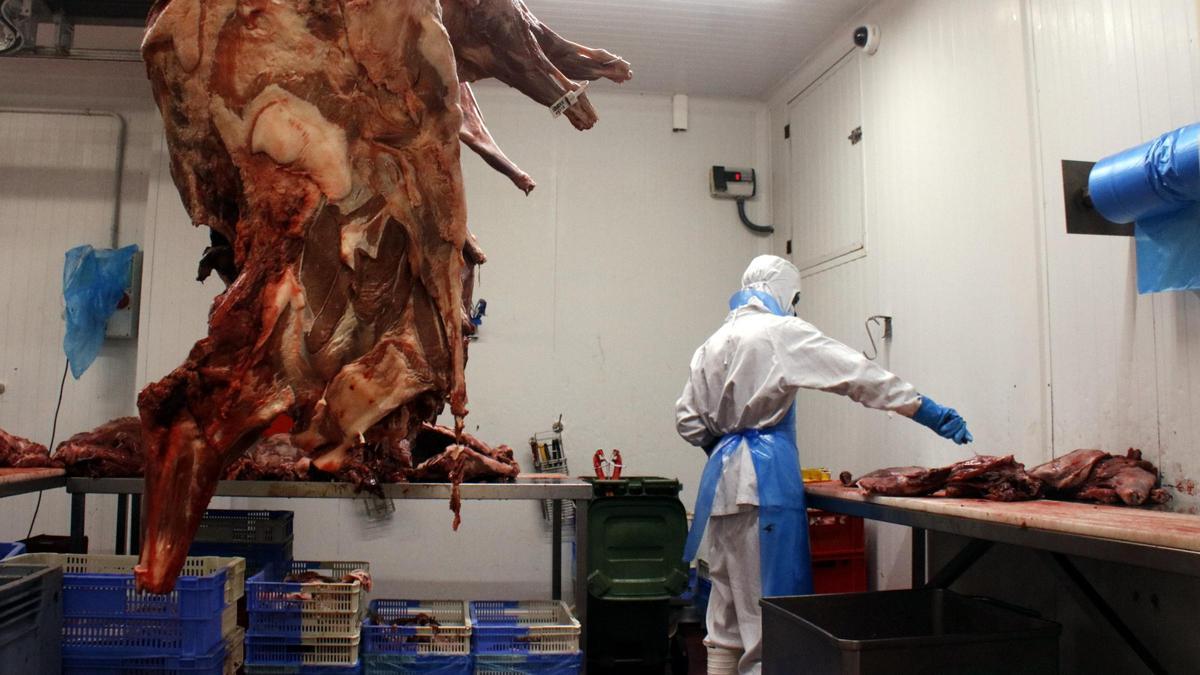 En primer terme, una canal de senglar; al fons, un treballador de Lantxaga especejant la carn.