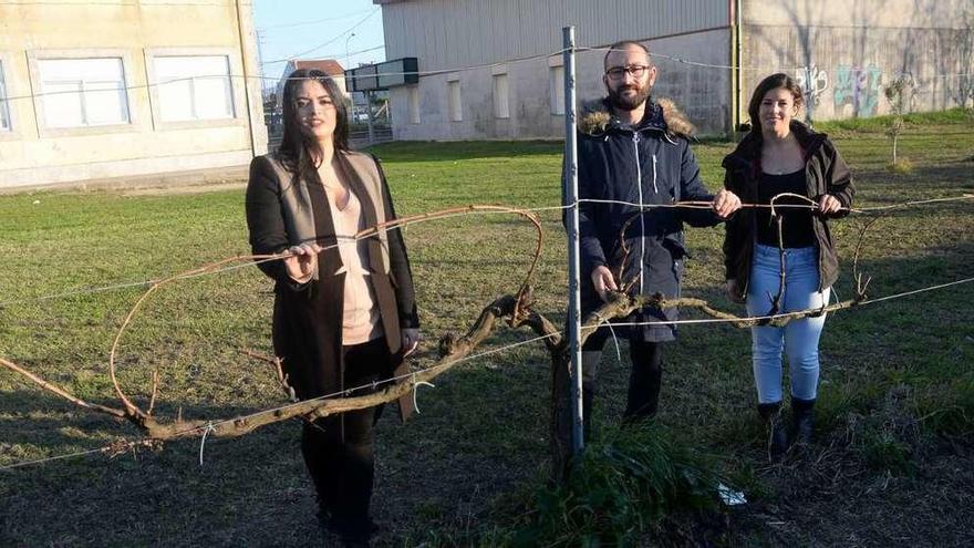 Lara Casás, Alberto Vázquez y Noemí Vieites, en el emparrado que tiene el instituto. // Noé Parga