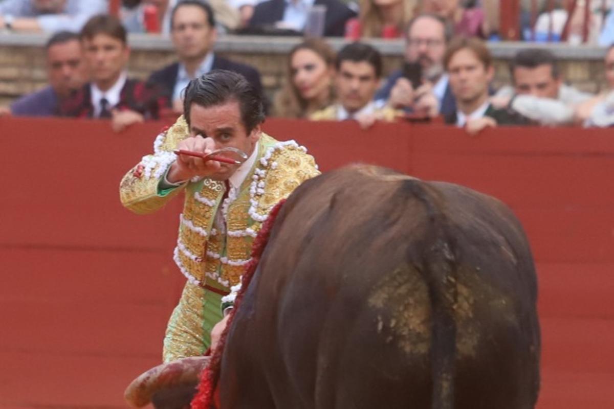 Última corrida de abono de la Feria Taurina de Córdoba, en imágenes Última corrida de abono de la Feria Taurina de Córdoba, en imágenes