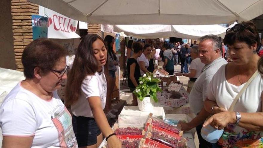 Bolea se viste de fiesta para promocionar sus cerezas