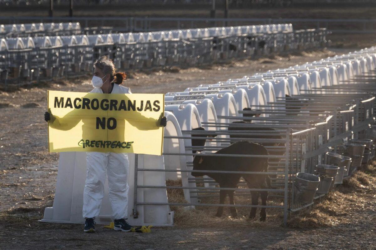 Protesta contra las macrogranjas en una de ellas.