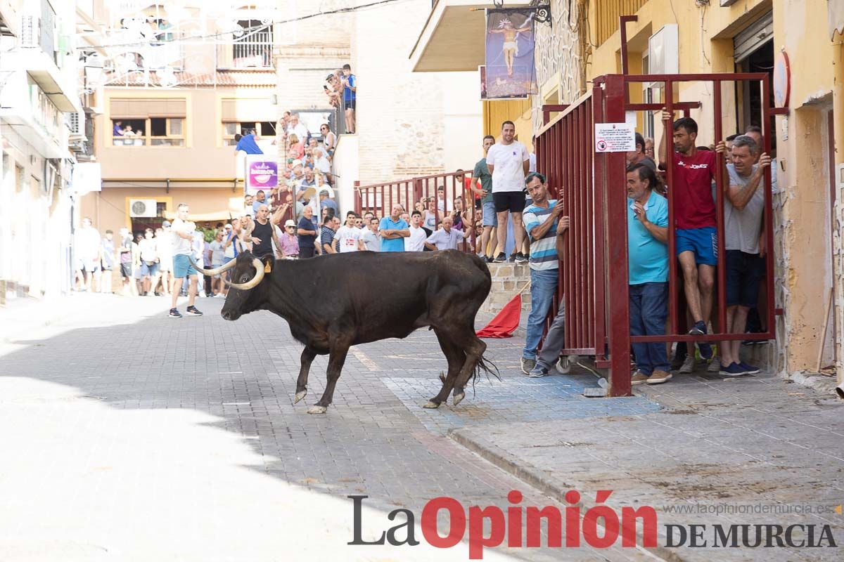 Séptimo encierro de las Fiestas de Moratalla