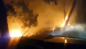 8126019a-30a4-4285-8d7a-f71ee0058fdf-hd-web