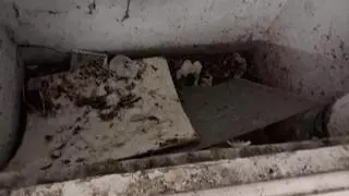 Conflictos vecinales, humedades, fallos eléctricos y hasta excrementos humanos en las zonas comunes: las "indignas" condiciones de trabajo del Equipo de Orientación Educativa del Nalón