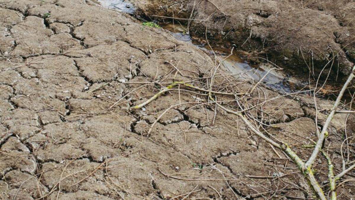 El cambio climático podría dejarnos sin alimentos