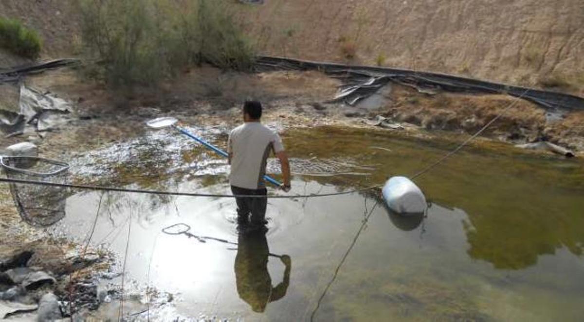 Misión cumplida con el rescate del pez fartet