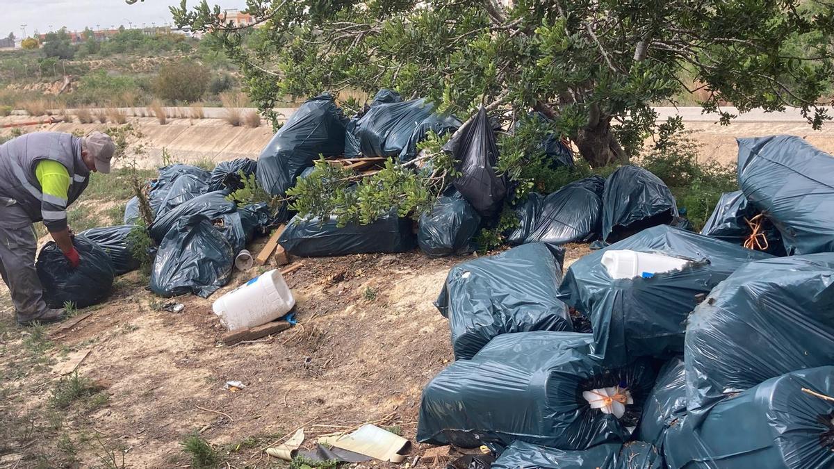 Operarios municipales comenzaron a retirar los residuos esta semana