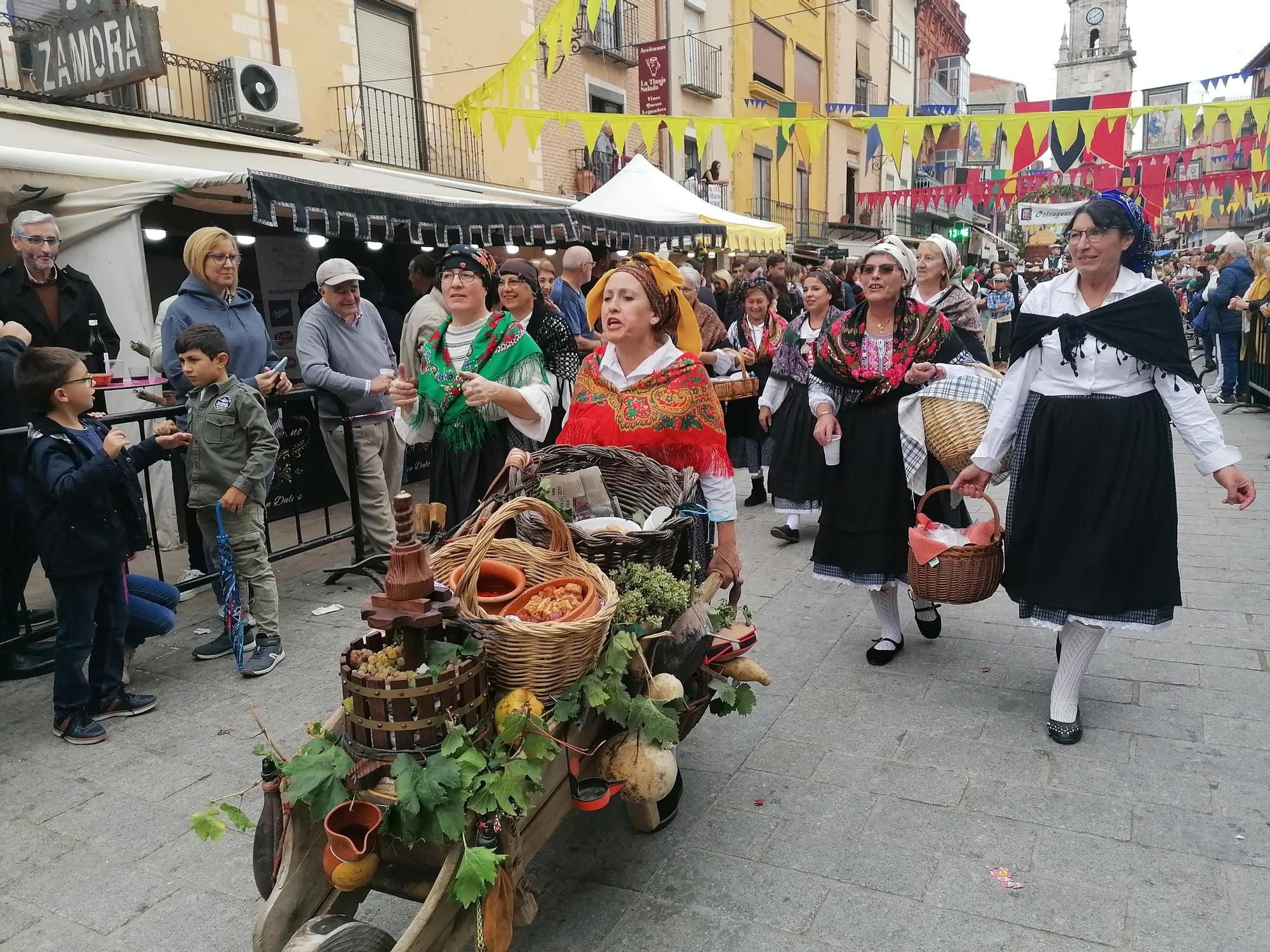 GALERÍA | Toro recrea la vendimia tradicional en el desfile de carros