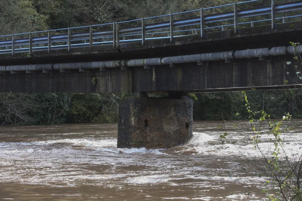 El río Nalón desbordado a su paso por Pravia y Quinzanas