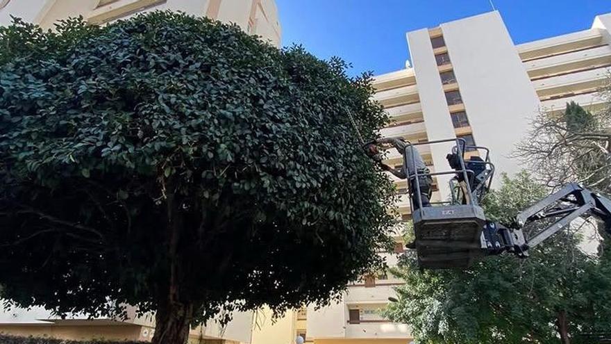 El Ayuntamiento de Marbella defiende la externalización de servicios por falta de medios