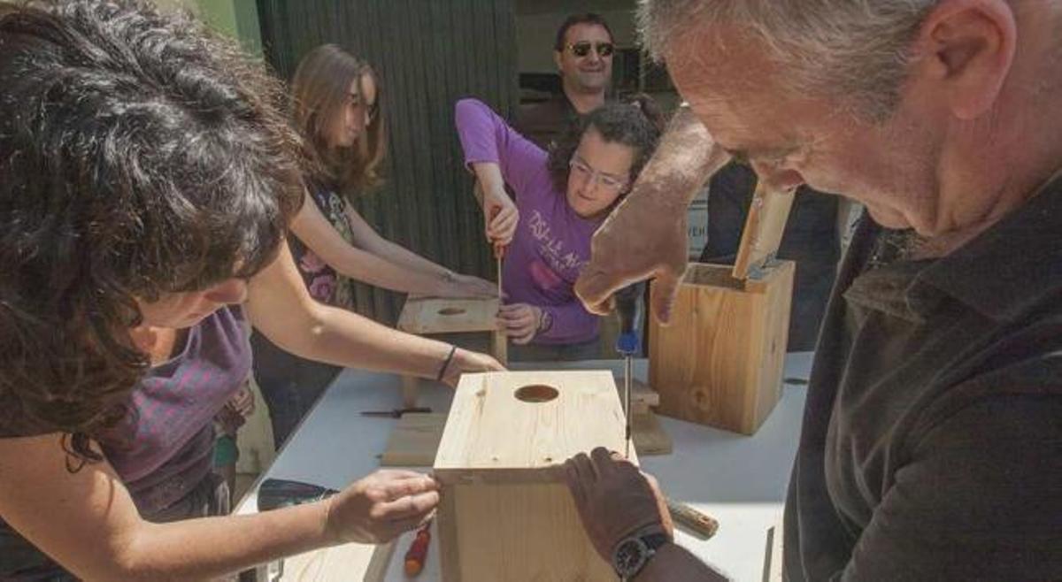 Orihuela prueba una técnica pionera para frenar el picudo rojo con pájaros