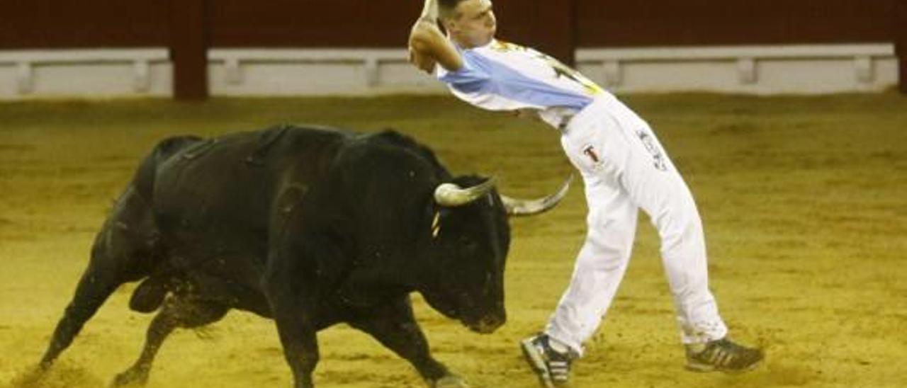 Los Verdes deniega el uso de la Plaza de Toros para un concurso de recortadores