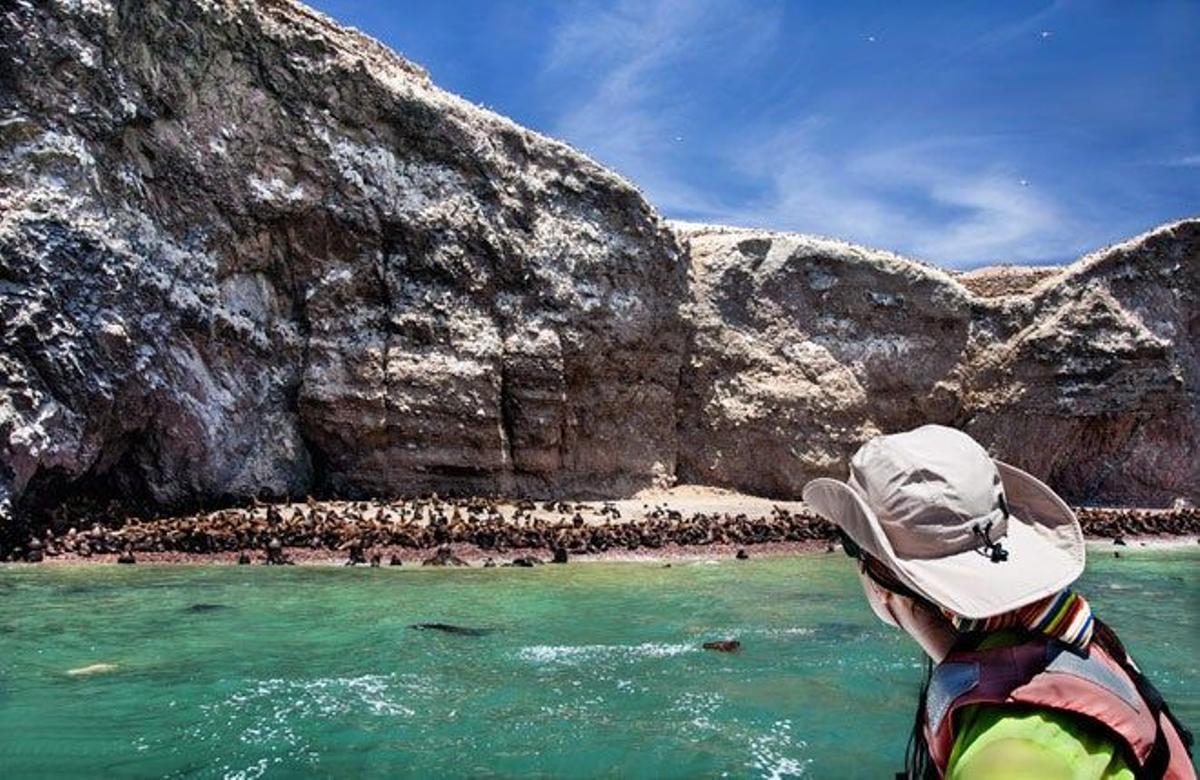 Península de la Reserva Nacional de Paracas.