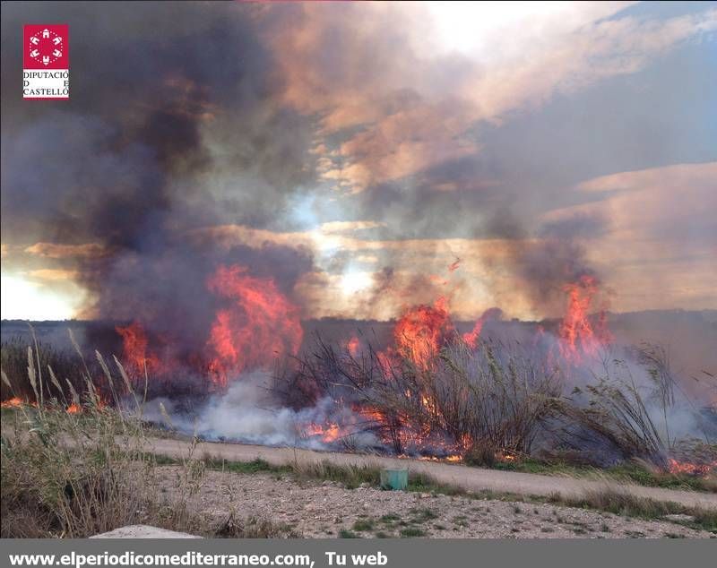 GALERÍA DE FOTOS -- Incendio en el Millars en Almassora