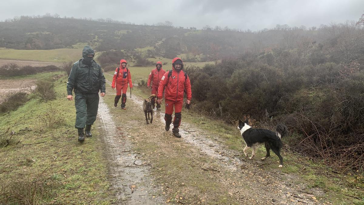 Personal y perros del dispositivo de búsqueda de la mujer desaparecida en Burgos.