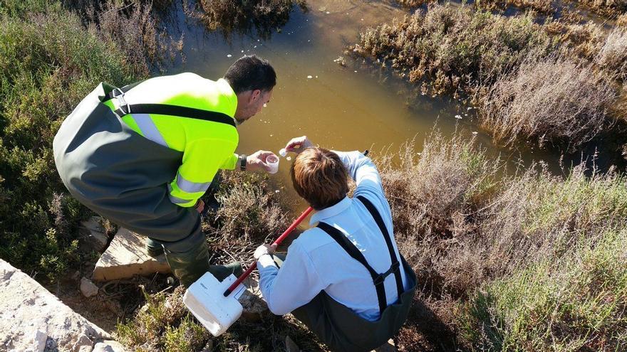 Expertos instan a extremar la vigilancia antimosquitos al subir las temperaturas tras la lluvia en Castellón