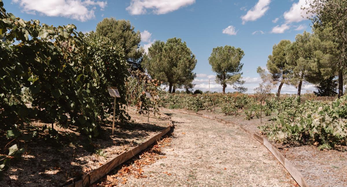 Imágenes de las instalaciones de la Finca El Encín, en Alcalá de Henares.